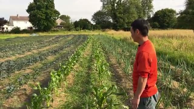 3. 実践者が知っておきたい日々の手入れと観察のコツ
