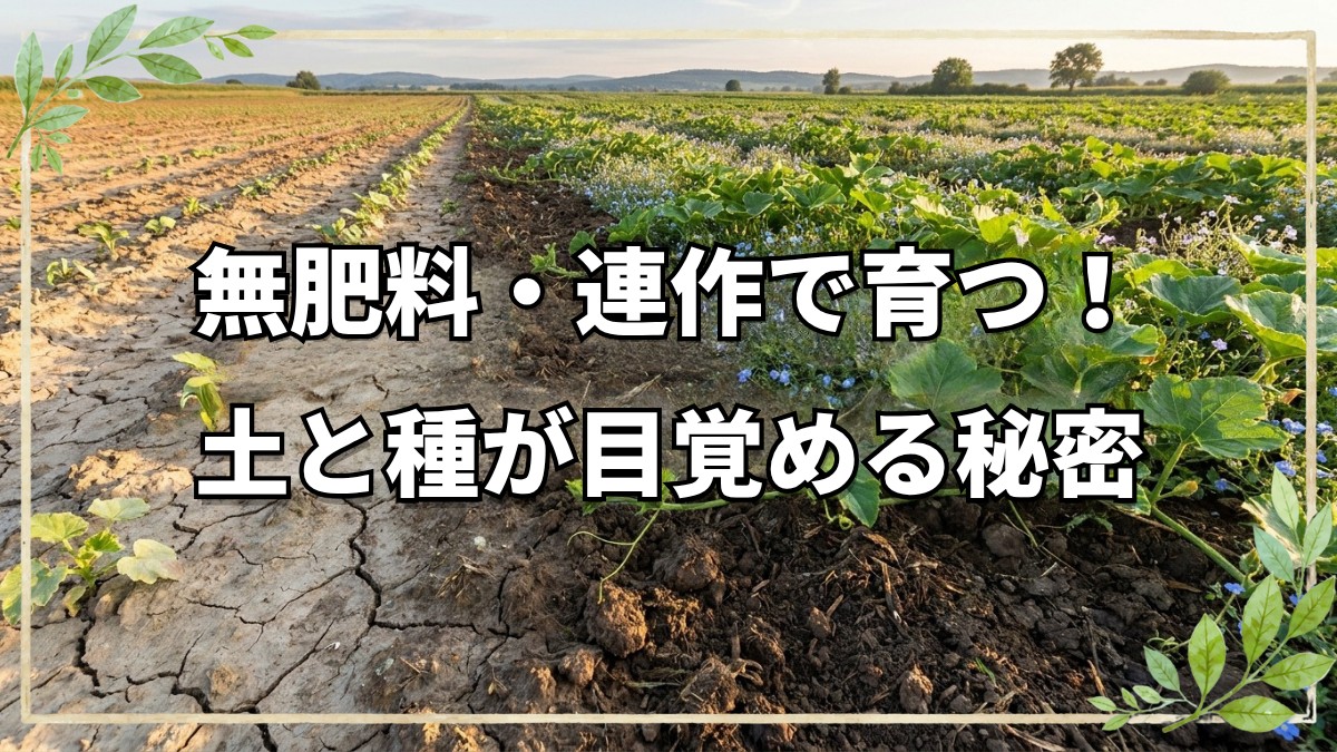 無肥料で育つ畑の秘密と連作の力