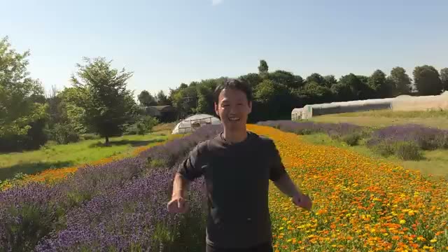 堆肥や補いを入れず13年が経過した圃場