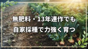 13年間の無肥料・無農薬栽培――土の力と自家採種で育つ7月下旬の圃場記録