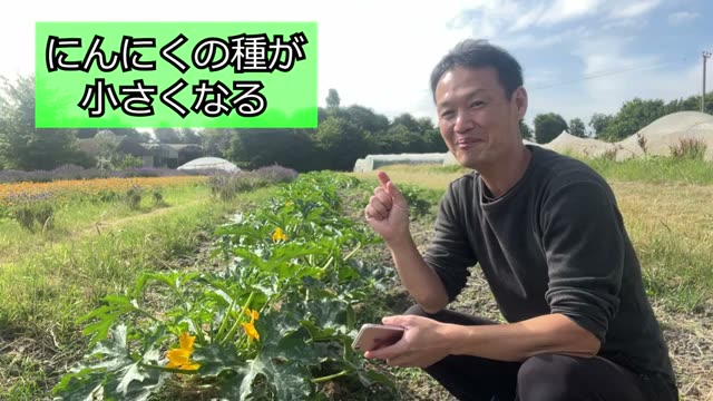 1. ニンニクが自家採種で小さくなる原因と対策