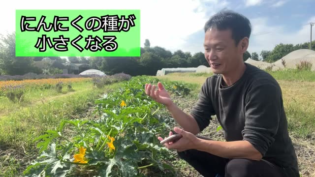 2. ラベンダーの発芽率を上げる種まきのコツ