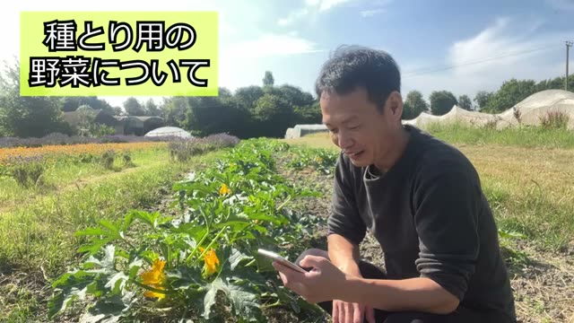 4. 種取り用野菜(ニンジン・タマネギ・ケール)の管理方法