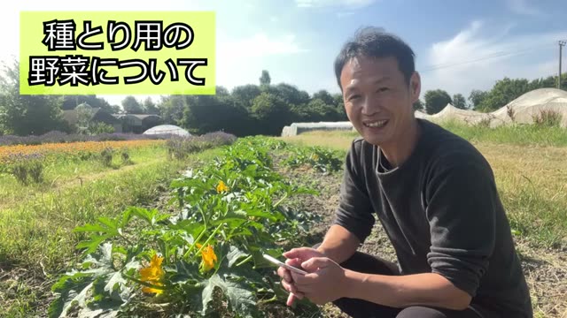 5. 防虫ネットの目的と野生動物への対策