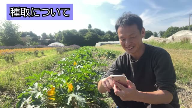 7. うまくいかなかった野菜から種取りをするか