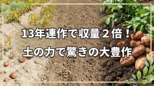 ジャガイモ13年連作!土の力で倍の収穫