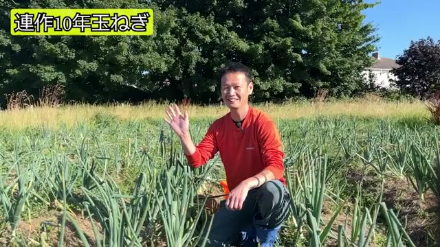 10年連作と自家採種で大きく育つ玉ねぎ