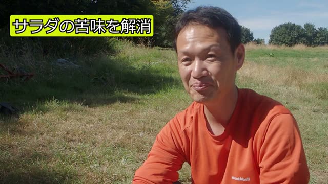 ルッコラの栽培管理と葉の苦味対策