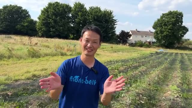 ケールに発生した病虫害と「火と水」のバランス