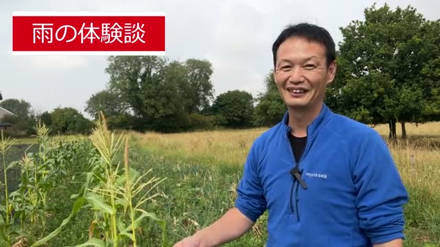 1. 自然界がくれる最高の肥料「雨」の力