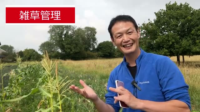 3. なぜ自然栽培を続けると「雑草」の管理が楽になるのか?