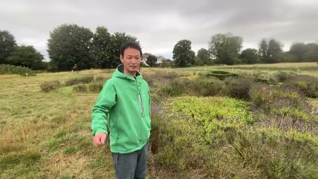 小回りが利く小型耕運機「ホンダ F220」
