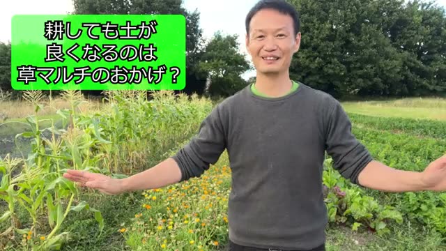 1. 耕しても土が良くなる理由は「草マルチ」のおかげなのか?