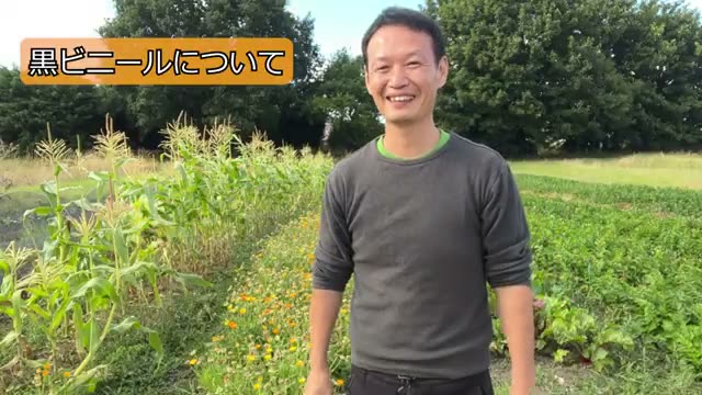 2. 黒ビニールマルチは使ってもいいのか?