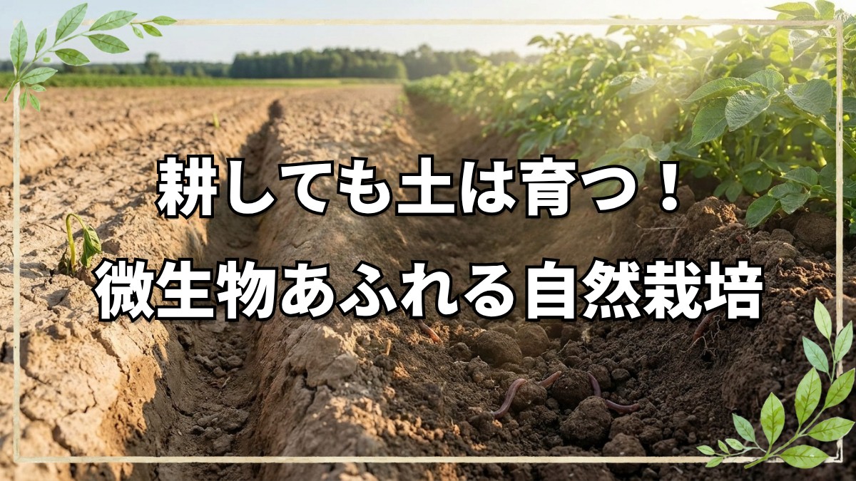 耕しても土は豊かに！自然栽培の新常識