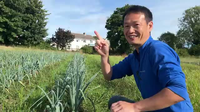 2か月の干ばつでも水やりは最小限