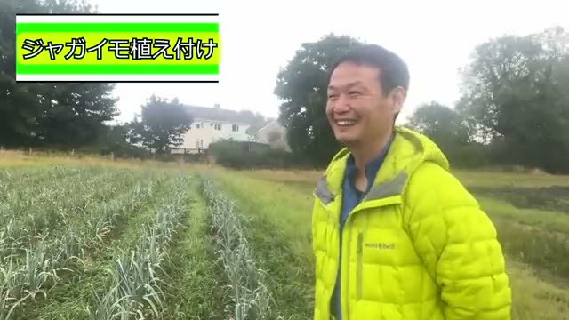 【実践メモ】秋ジャガイモの植え付けのワンポイント