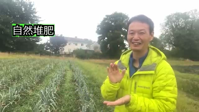 1. 投入するものの違い:資材を使うか、土そのものを生かすか