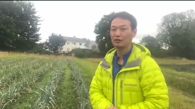 4. 土が清浄になると可能になる「連作」