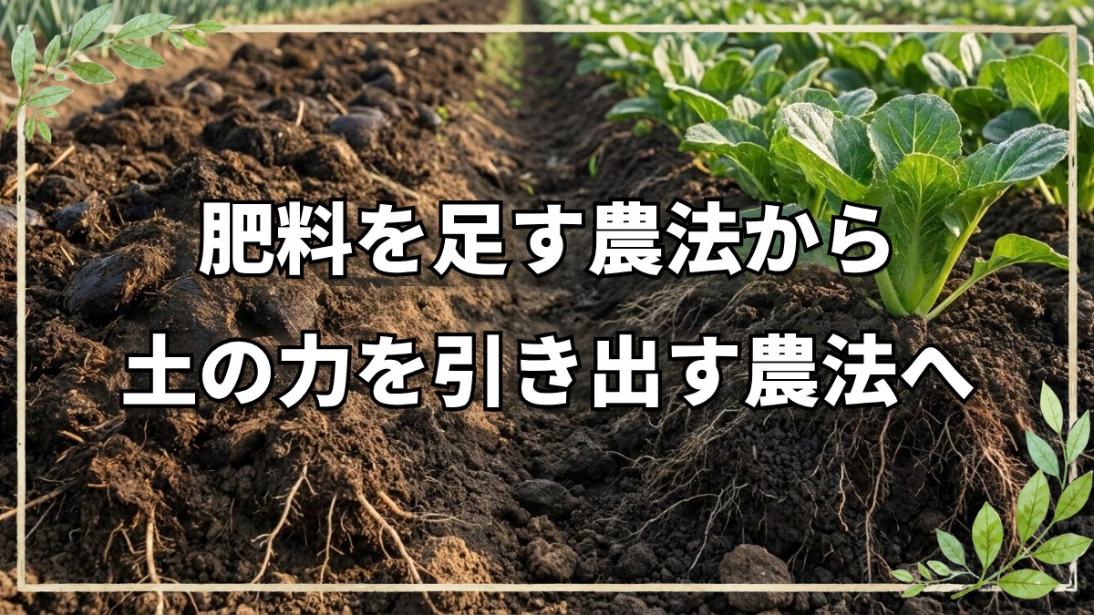 有機農法と自然農法の決定的な違い