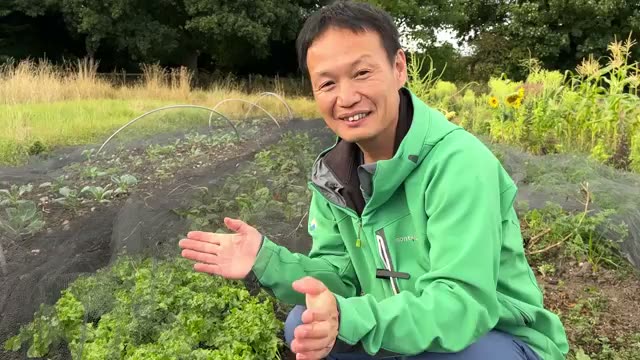 要注意:「草が生えない土」の2つのパターン