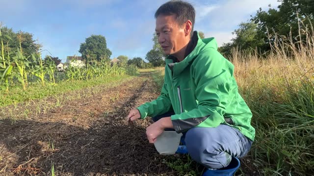 自然農法は「最も簡単で、最も楽なやり方」