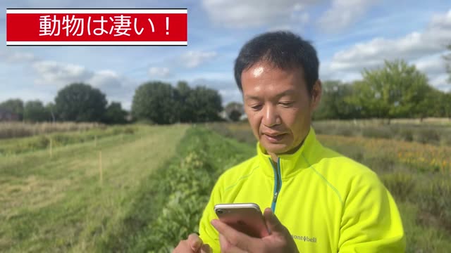 動物は野菜の味を見分けるのか:自然農法と食害の関係