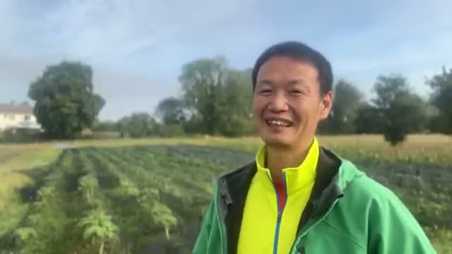 3. 畑は「自分の心の鏡」である