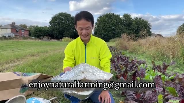 改めて確認したい「自家採種」の驚くべき利点