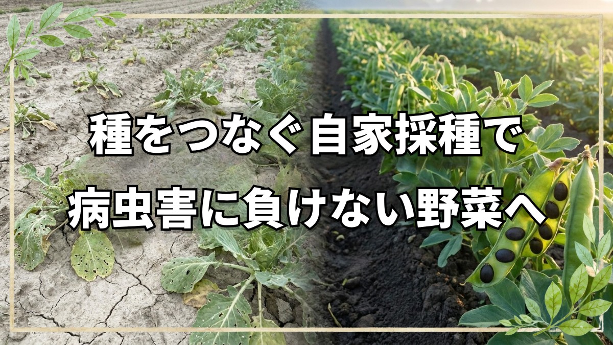 命をつなぐ自家採種のコツと本質的メリット