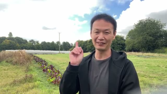 1. 土と種に残る「汚れ」の浄化作用