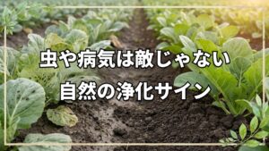 野菜に虫や病気がつく3つの原因