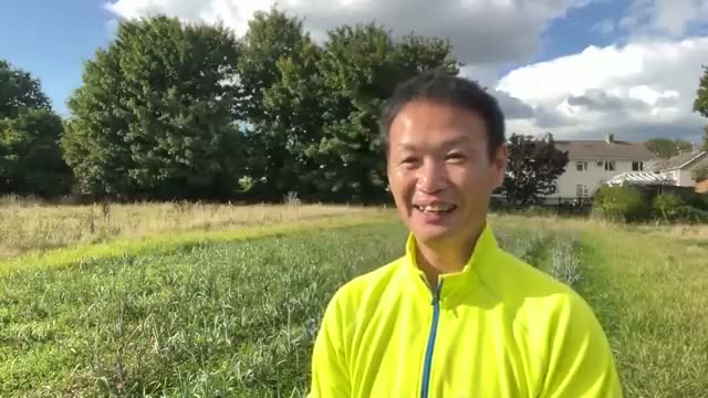 1. 野菜が育たなかった時に、まず行うべき「観察」