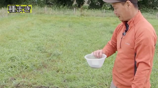 セルトレイを使った種まきと育苗の手順