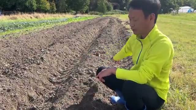 地下茎の雑草が消える?自然栽培による土質の変化