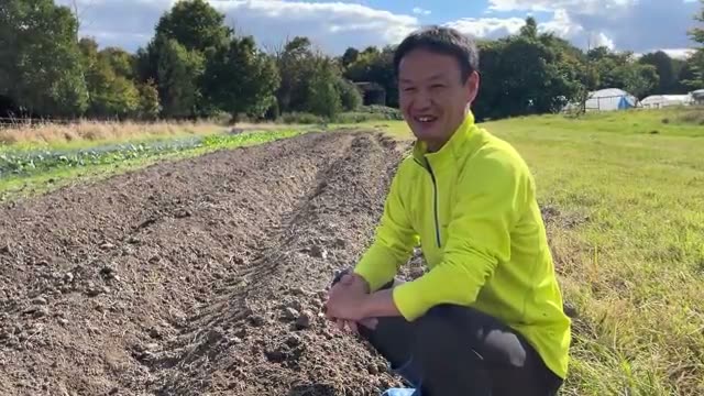 ニンニクの植え付け手順と自家採取のポイント