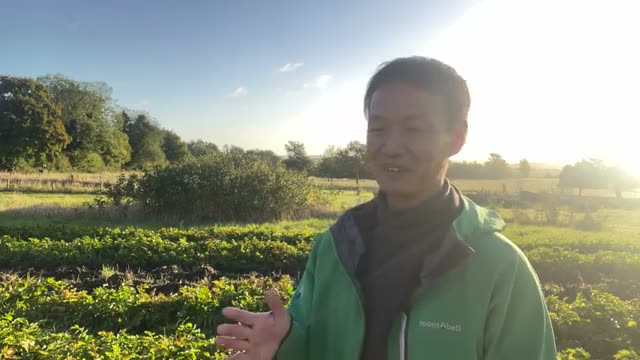 1. 数万本規模の果樹園も!ヨーロッパで進む大規模な転換