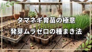 玉ねぎの種まきとトマトの自家採種