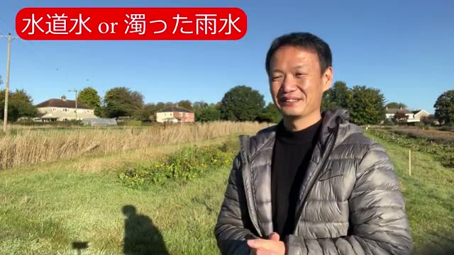 1. 水道水と濁った雨水、どちらを使うべきか