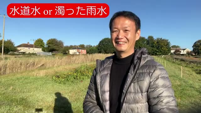 2. ビニールハウスでの水やり頻度と時間帯
