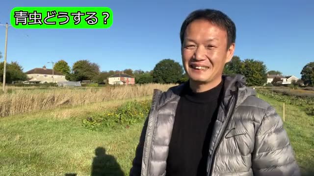 5. 害虫の卵や幼虫は見つけたらどうするべきか
