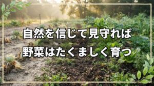 自然栽培Q&A!水やり・採種・害虫対策