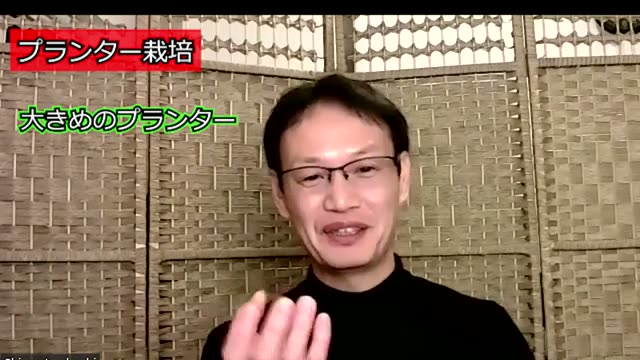 自然栽培をプランターで始める際のポイント