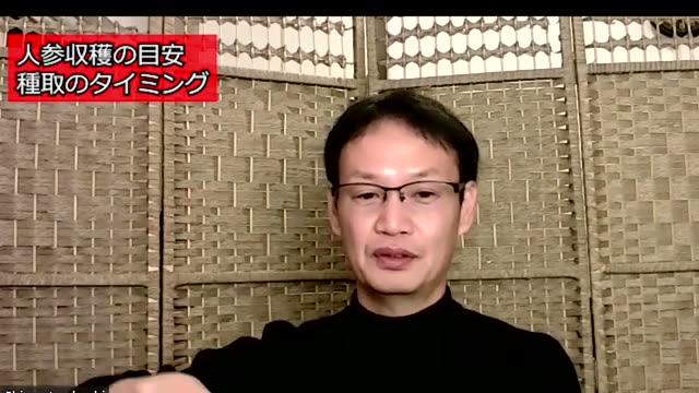 ニンジンの収穫タイミングと種取りの時期