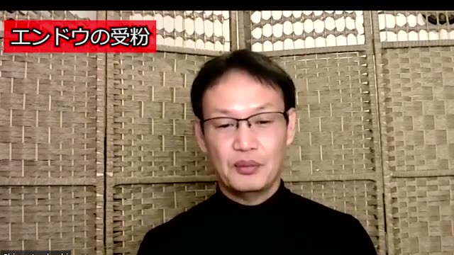 エンドウの受粉について