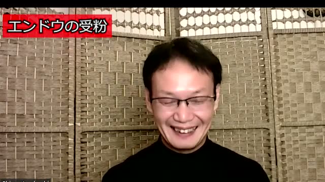 畑の作付け場所や連作の決め方
