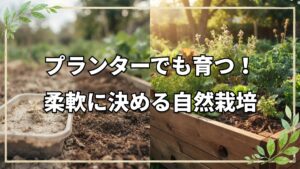 プランター自然栽培の始め方と畑の配置決め|人参の収穫目安や種取りの時期も解説
