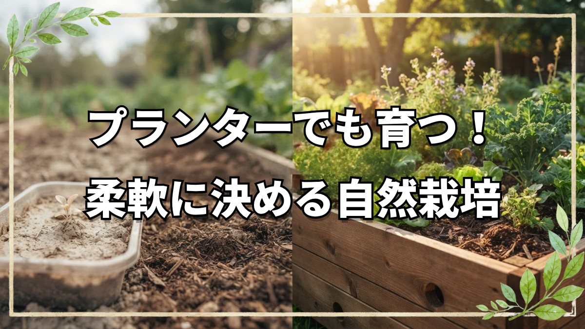 プランター自然栽培の始め方と畑の配置決め｜人参の収穫目安や種取りの時期も解説