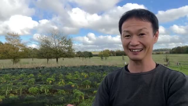なぜ「プロ」よりも「素人」の方が野菜を作りやすいのか?