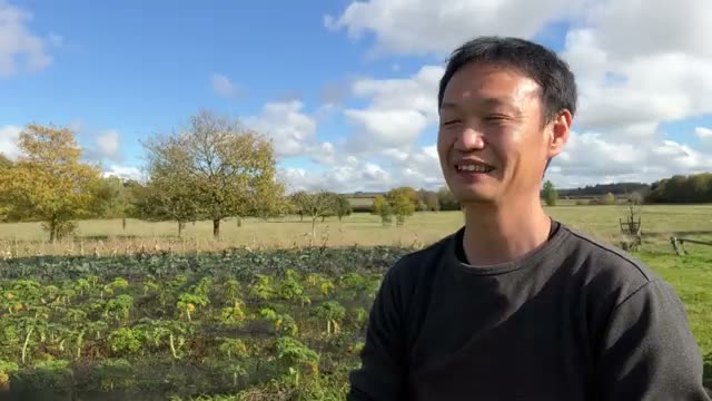 自然農法に「欠点」は存在するのか?